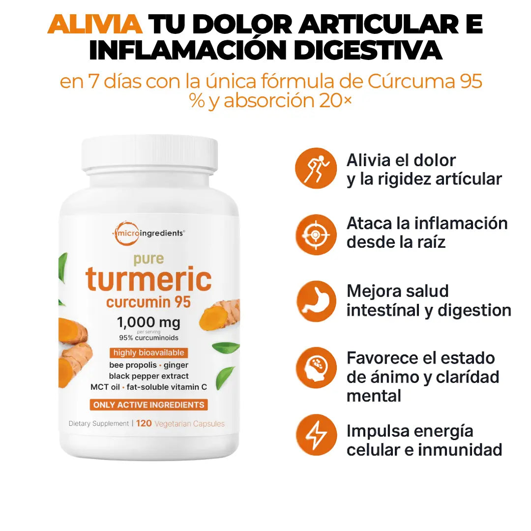 Turmeric 95 - Micro Ingredient